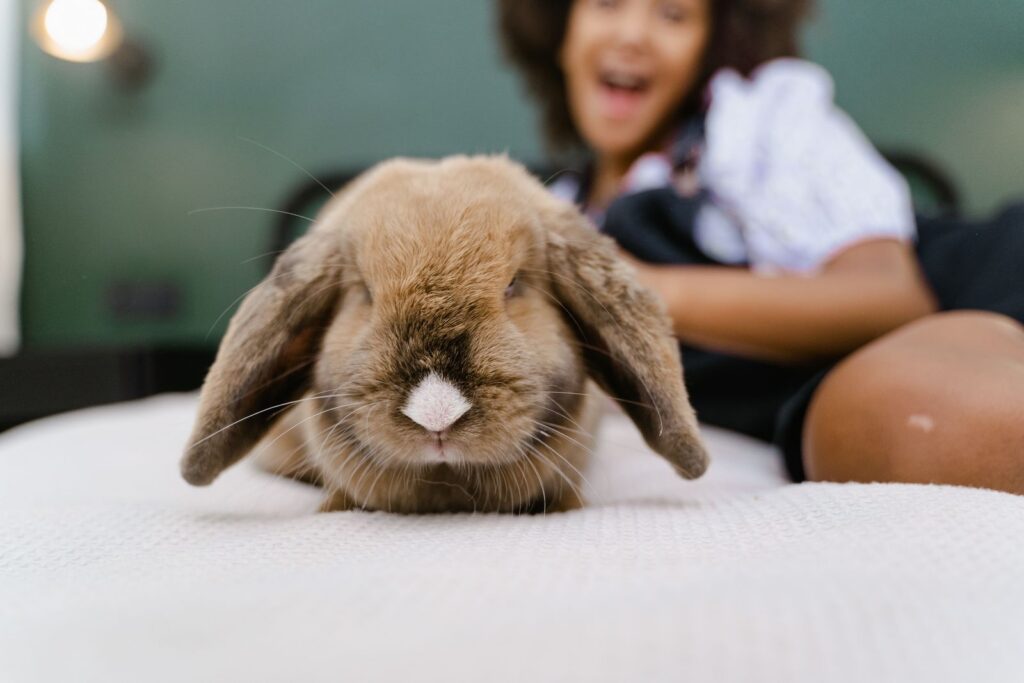 A cute bunny lying on a bed with a smiling child indoors, highlighting warmth and companionship.
