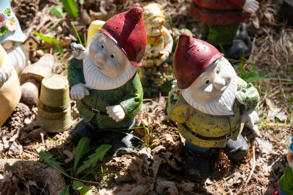 Two garden gnomes with red hats in a sunny garden.