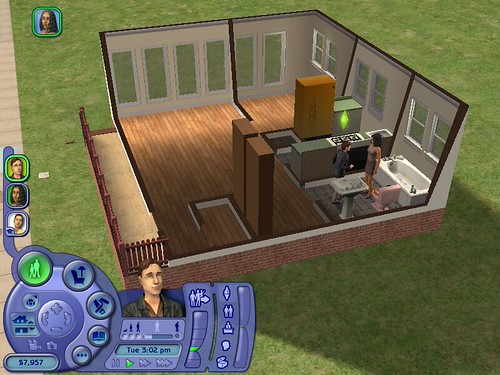 the sims