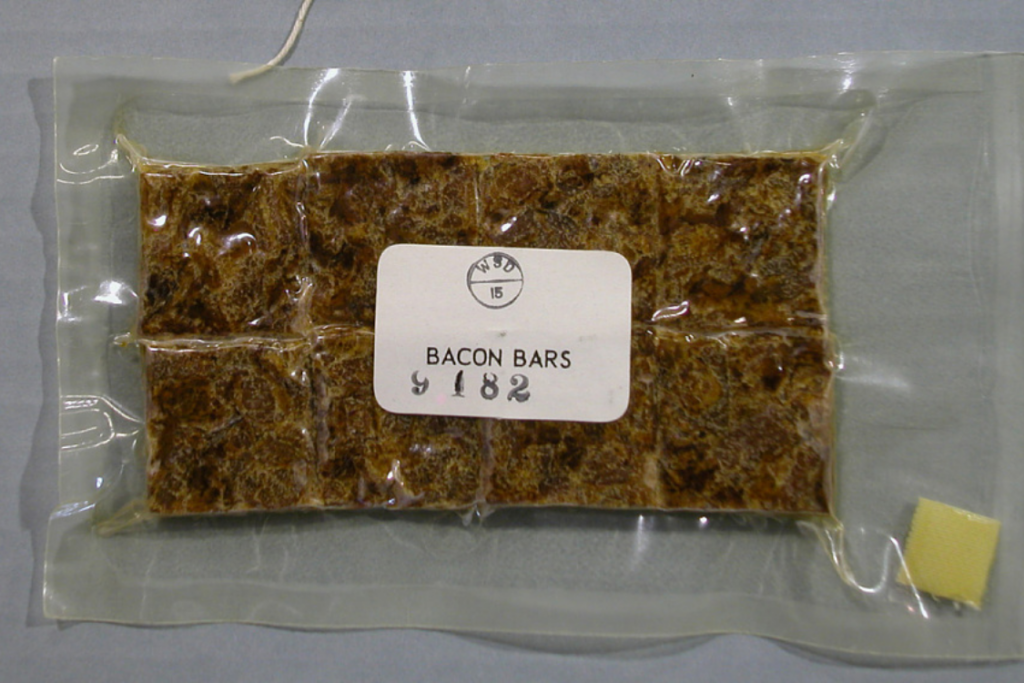 Apollo 11 Menu Bacon Cubes Bars