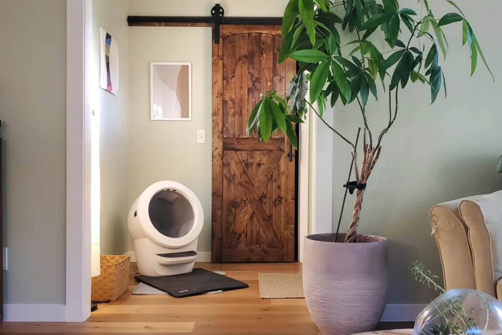 Cat litter box near entryway