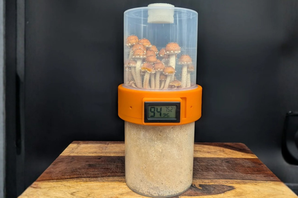 Mushroom grow kit with temperature monitoring