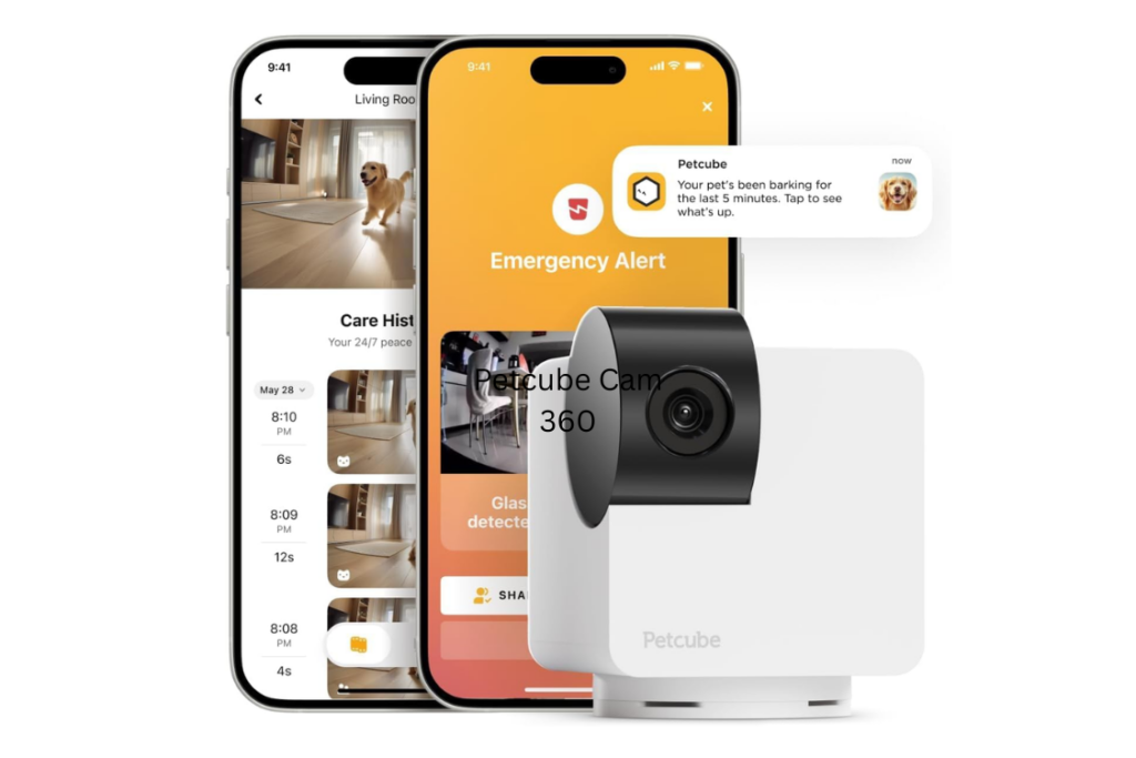 Petcube Cam 360