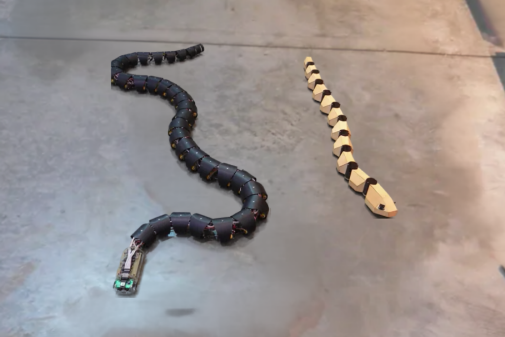 Robo-snakes prototypes, illustrating potential in research and rescue