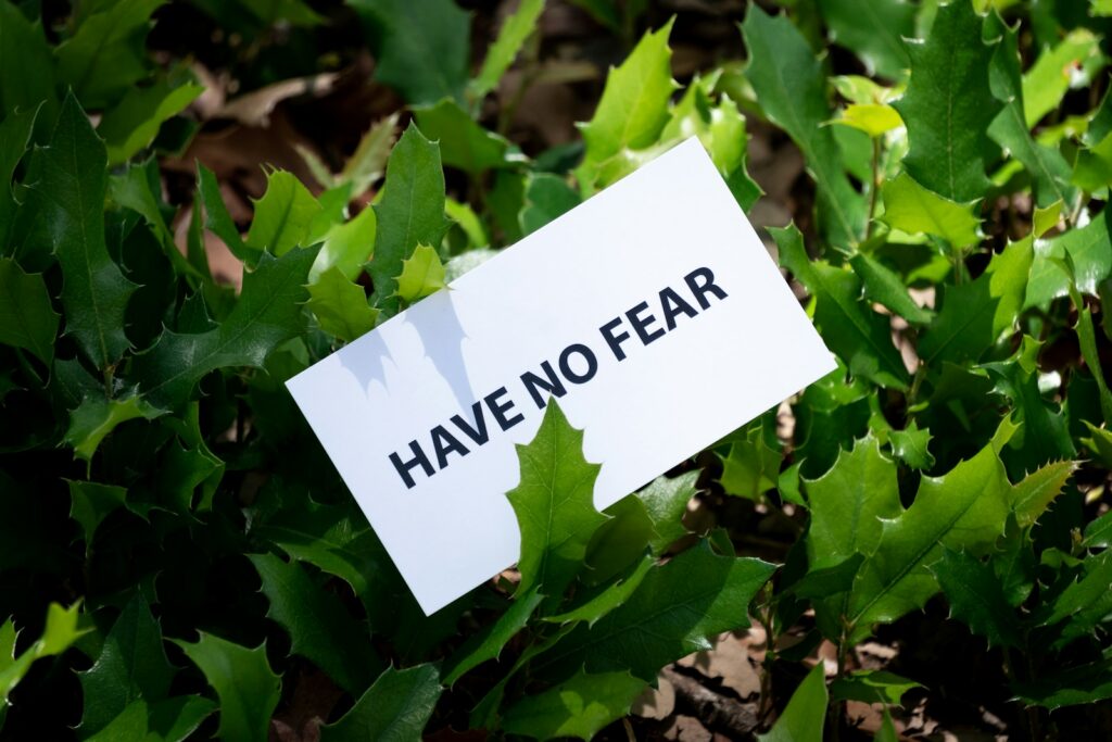 have no fear