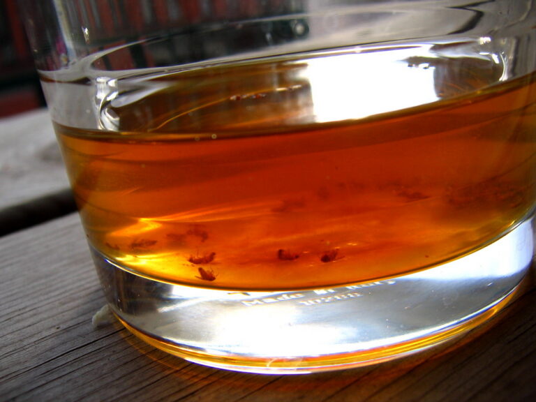 vinegar trap
