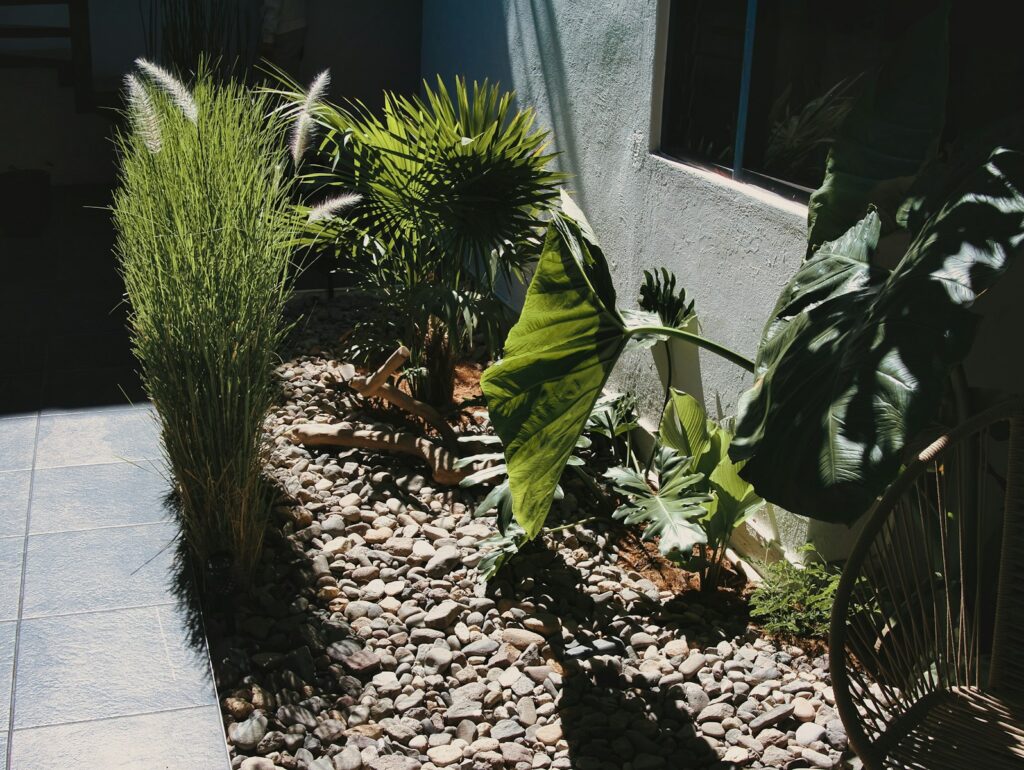 a garden area with rocks, plants, and gravel