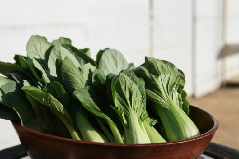 a wooden bowl filled with green bok choy leafy vegetables