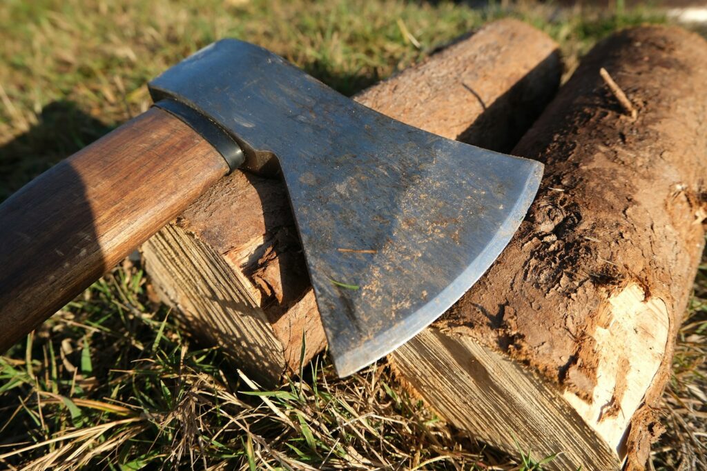 An axe rests on chopped firewood in grass.
