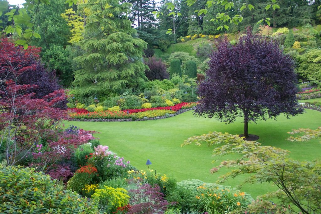 Lush green garden with colorful flowers and trees.