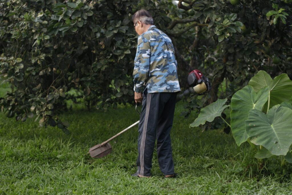 Senior man maintaining lawn