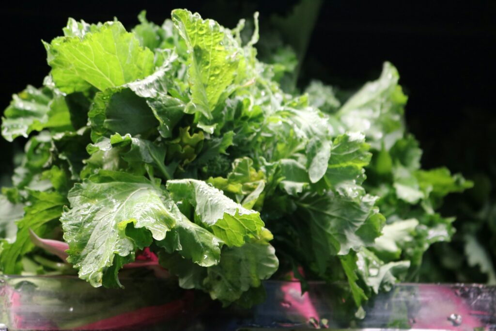 Mustard green vegetable on red plastic container
