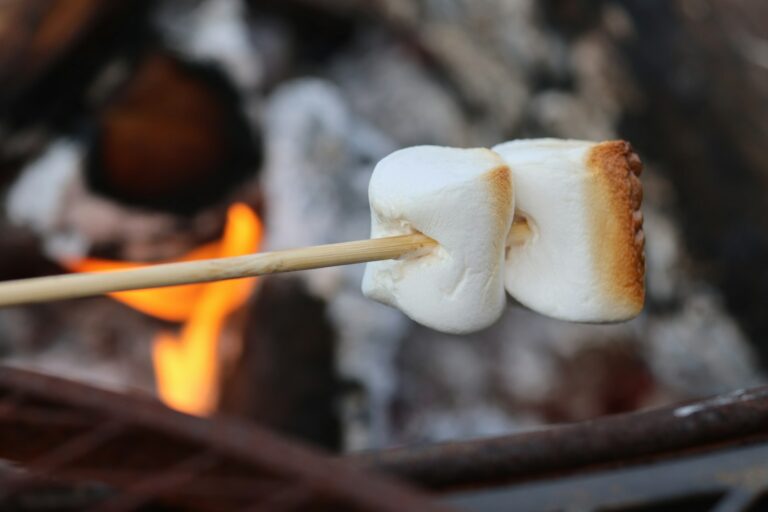 Two marshmallows roasting over a campfire