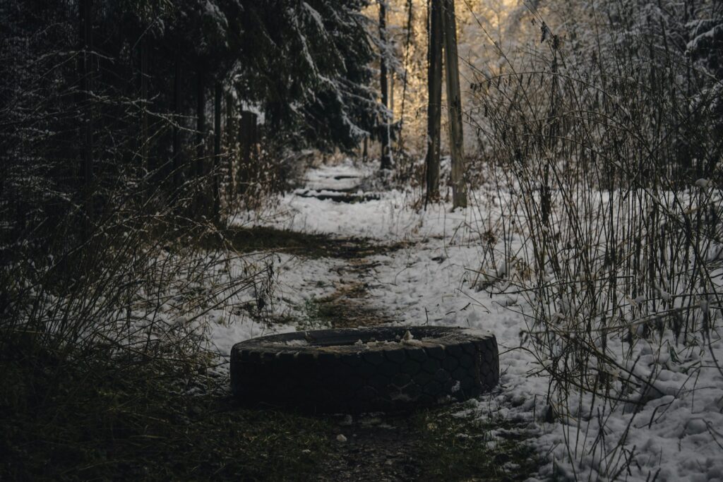 Snowy forest path with a large stone ring.