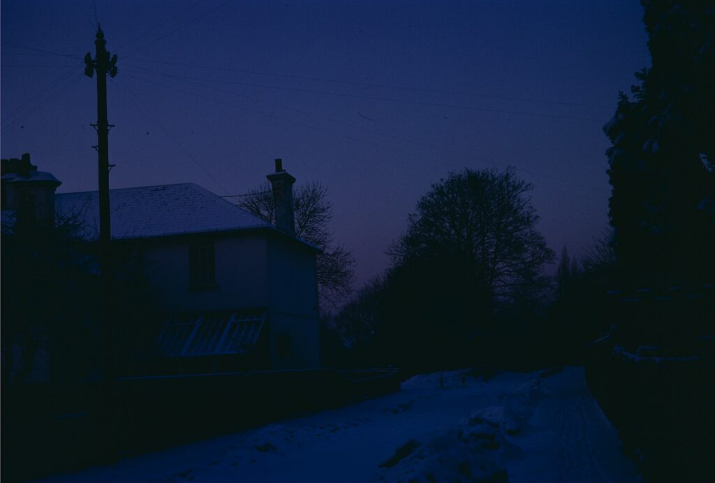 Snowy house and trees under a dark blue twilight sky