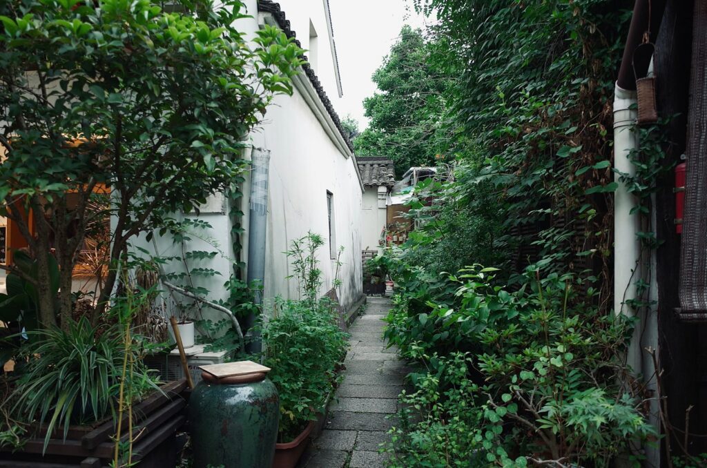 green plants beside white concrete building