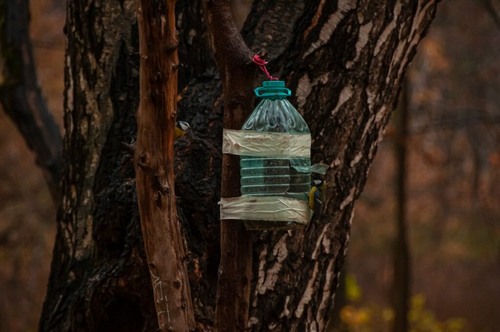 a bottle of water on a tree