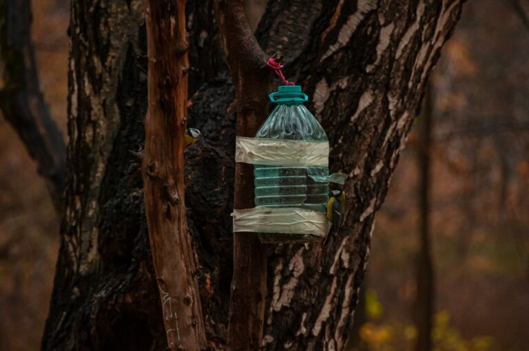 a bottle of water on a tree