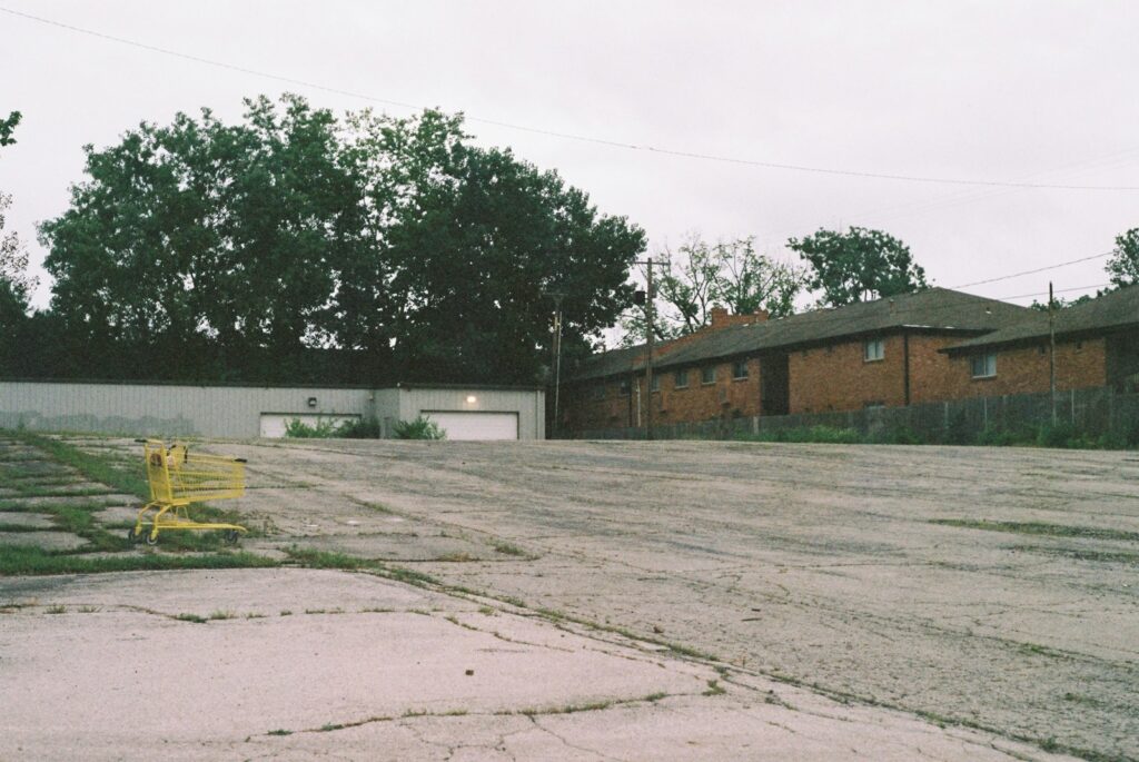 green tree near brown concrete building during daytime