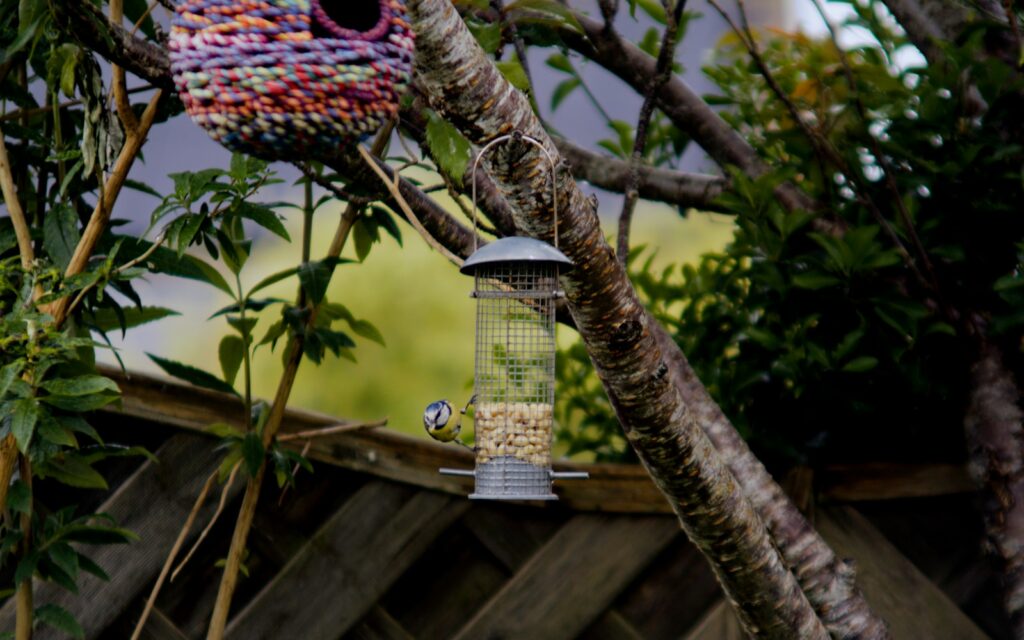 A bird enjoys a meal at the feeder.