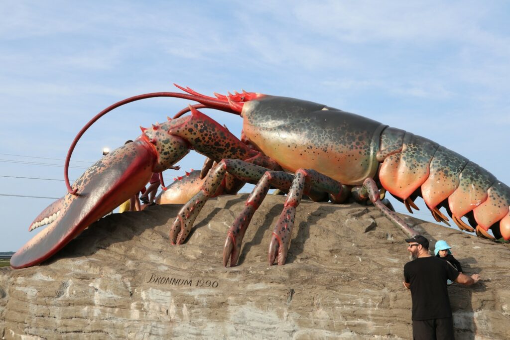 red lobster on brown rock